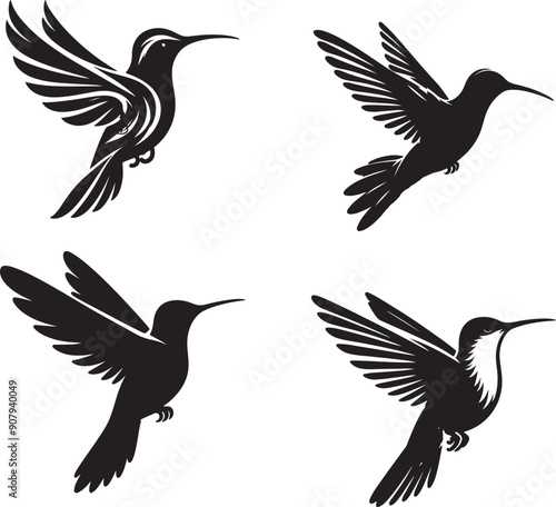 Fascinating Facts About Hummingbirds | Nature's Tiny Marvels