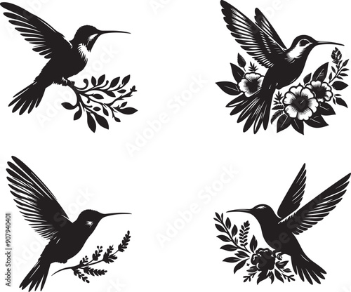 Fascinating Facts About Hummingbirds | Nature's Tiny Marvels