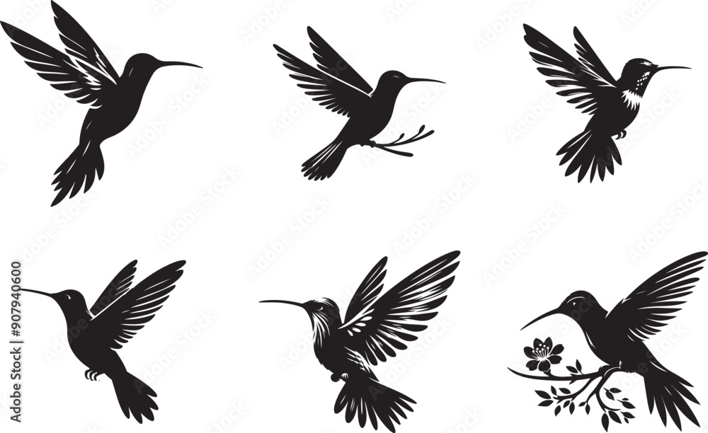 Fototapeta premium Fascinating Facts About Hummingbirds | Nature's Tiny Marvels