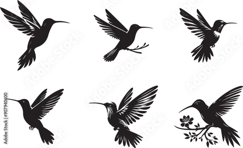 Fascinating Facts About Hummingbirds | Nature's Tiny Marvels