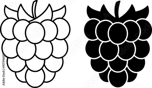 Raspberry Icons. Black And White Vector Icons Of Ripe Berry. Natural And Organic Food. Sweet Dessert. Fruit Concept