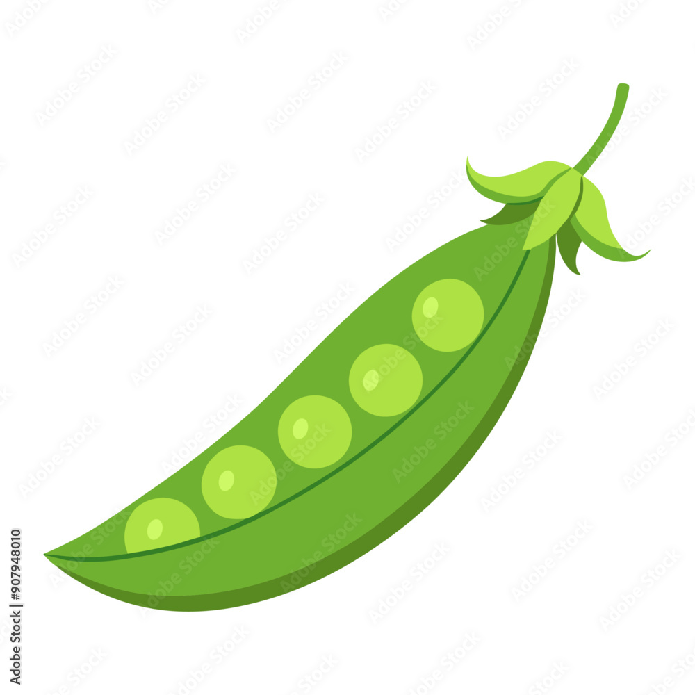 green peas vegetable for cooking meals. A bright element isolated on white for design. Vector illustration green peas vegetable for cooking meals. A bright element isolated on white for design. Vector illustration
