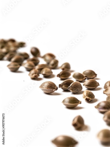 A row of small, brown seeds are spread out on a white background. The seeds are likely from a plant, and their small size and uniform shape suggest that they are meant to be consumed