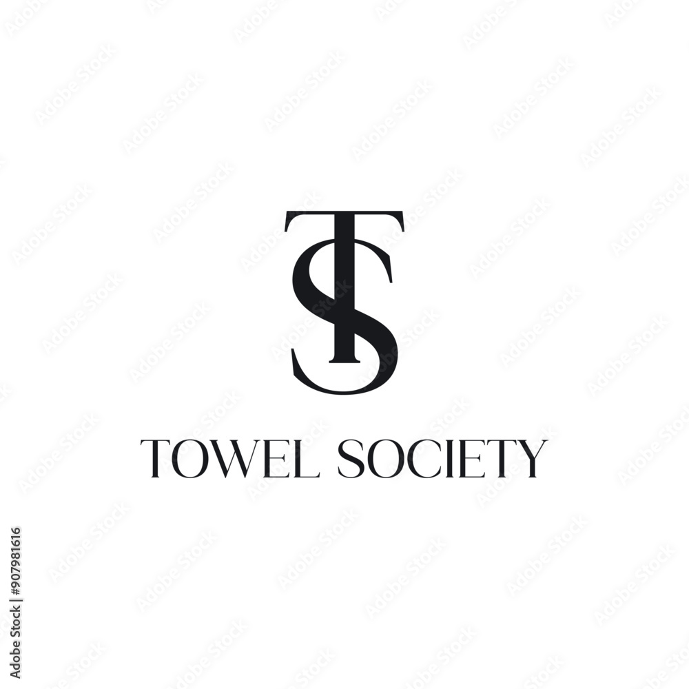 Premium TS logo design - Earth Shohag :) Premium TS logo design - Earth Shohag :)