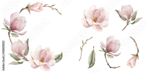 Composition of light pink magnolia flowers, buds, sprigs and leaves with isolates. Floral watercolor illustration