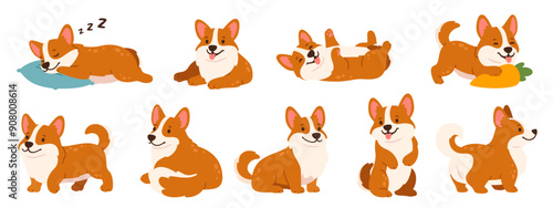 Corgi dogs. Cartoon little corgis in different poses. Cute puppy playing, relaxing, running, standing. Doggy kind corgi sleeping. Funny pet emotions. Pedigree animals. Vector set.