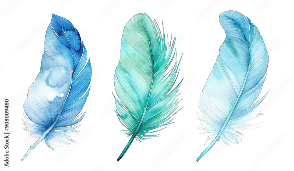 Blue green feather bird quill part of wing set collection water color isolated on transparent background cutout PNG Blue green feather bird quill part of wing set collection water color isolated on transparent background cutout PNG