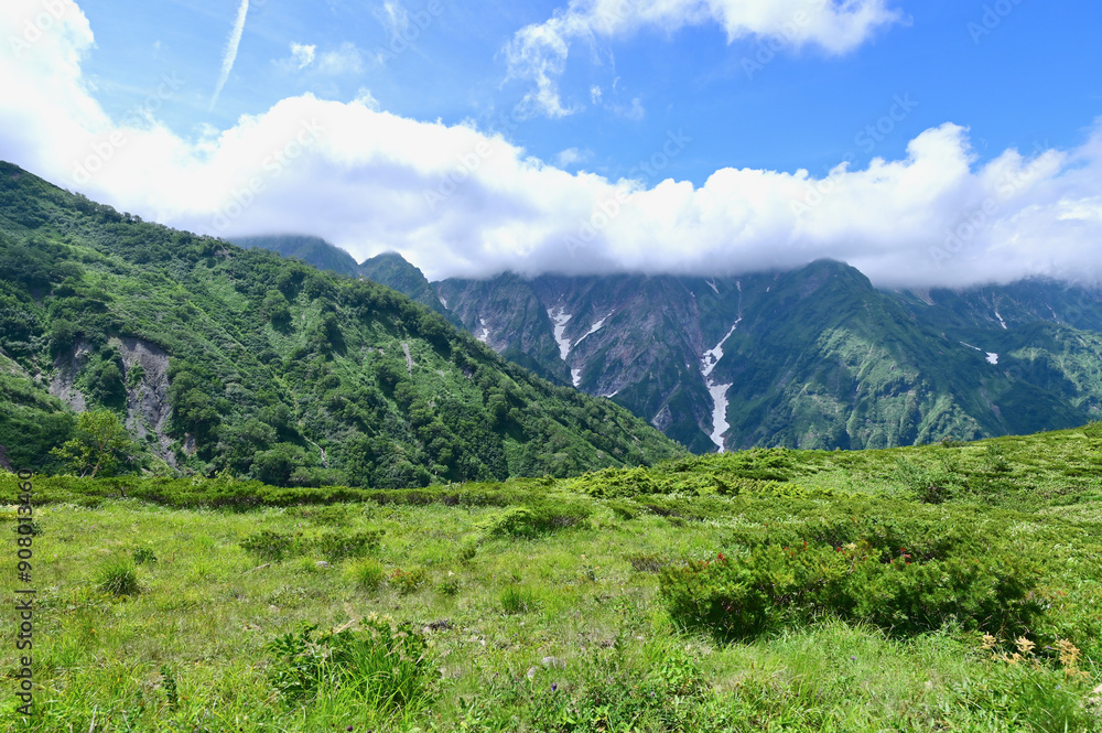 Obraz premium Scenery of the Northern Alps of Japan During Summer in Hakuba, Nagano