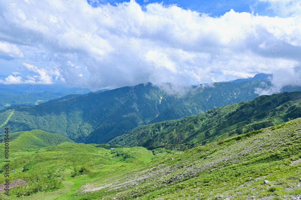 Fototapeta premium The Japanese Alps and Hakuba Valley in Green Season in Nagano, Japan