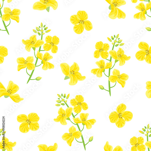 Canola flowers seamless pattern. Botanical background. Vector cartoon flat illustration.