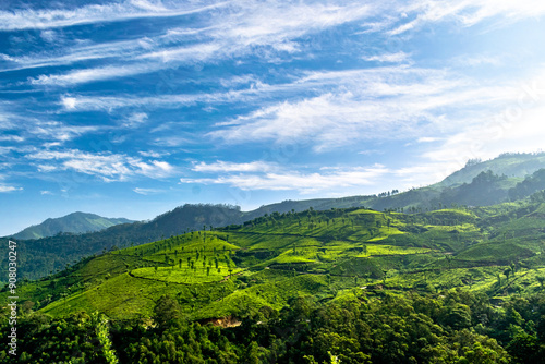 landscape of the mountains in Munnar tea plantation Kerala