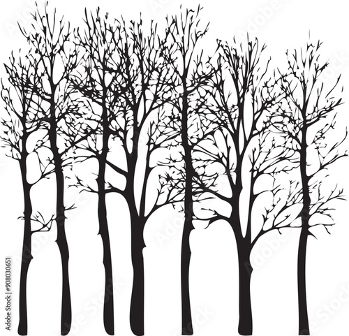 Black silhouette bare tree on white background