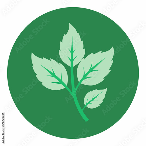 vector green icon