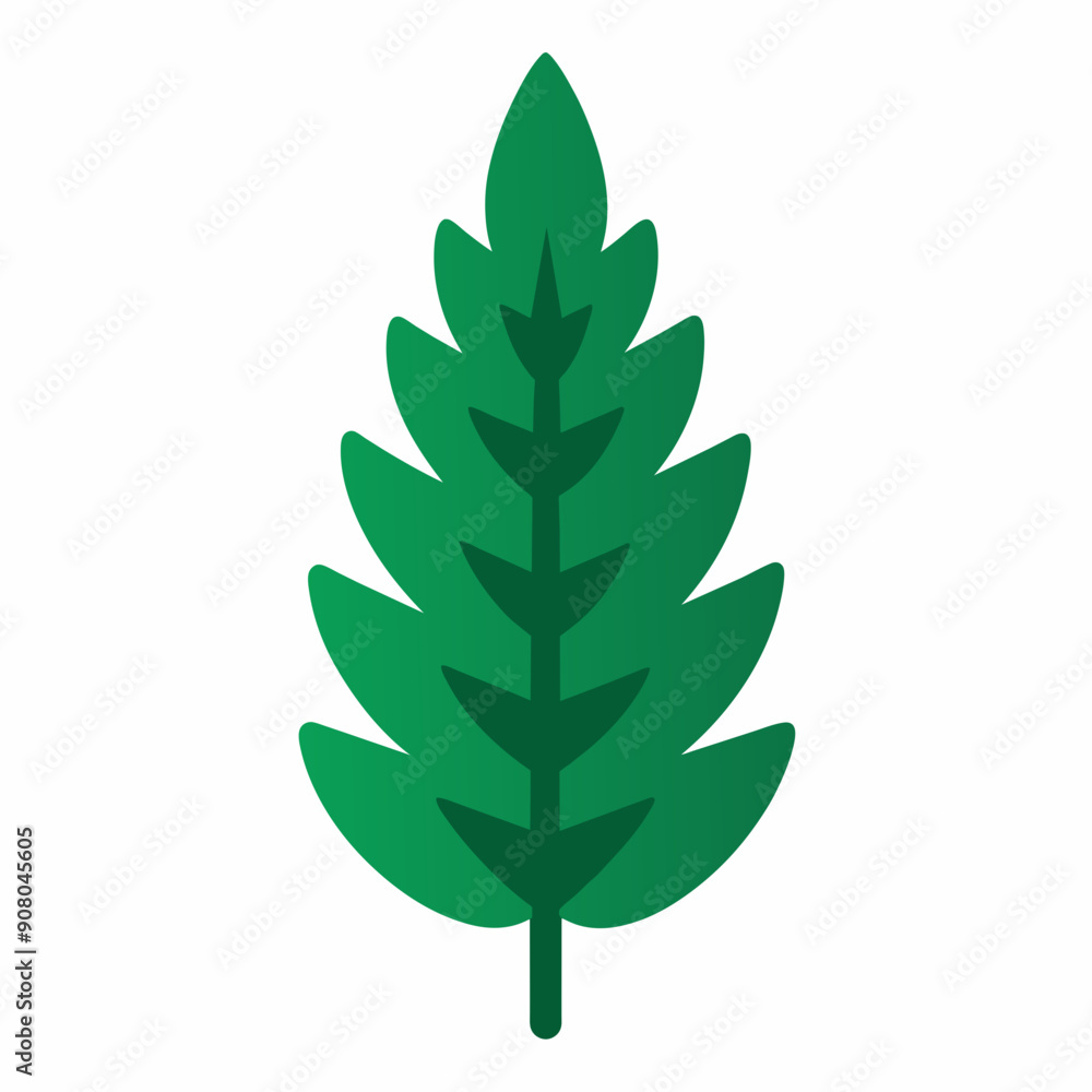 leaf isolated on white leaf isolated on white