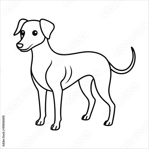  Dog line art vector  silhouette,graphic resource.White Background.