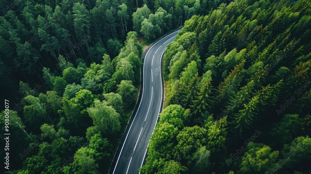 Asphalt cuts through the beautiful forest Generative AI Asphalt cuts through the beautiful forest Generative AI