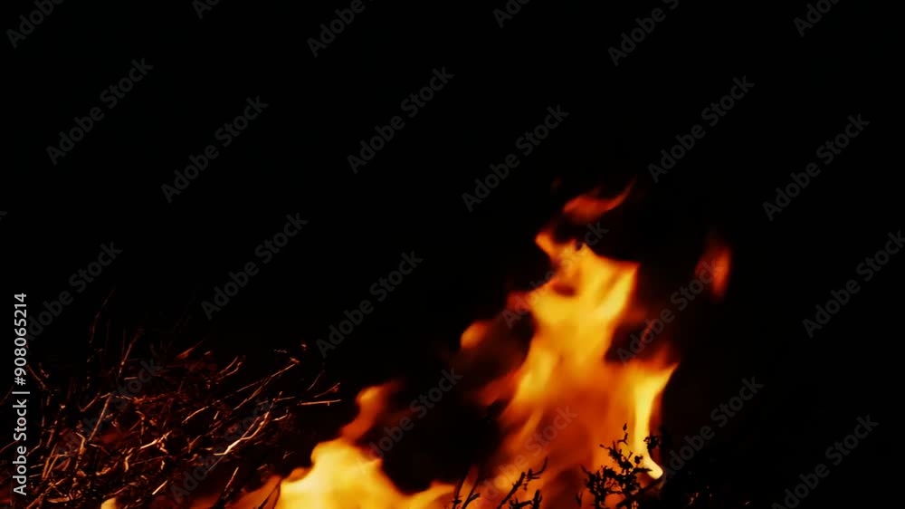 Burning Bushes Against a Black Background at Night Generative AI Burning Bushes Against a Black Background at Night Generative AI