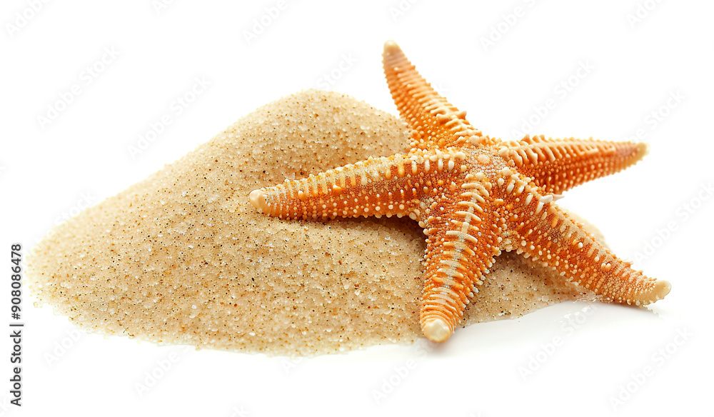A vibrant orange starfish rests atop a mound of soft, sandy beach. A vibrant orange starfish rests atop a mound of soft, sandy beach.