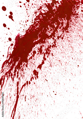 Obraz na płótnie Blood
