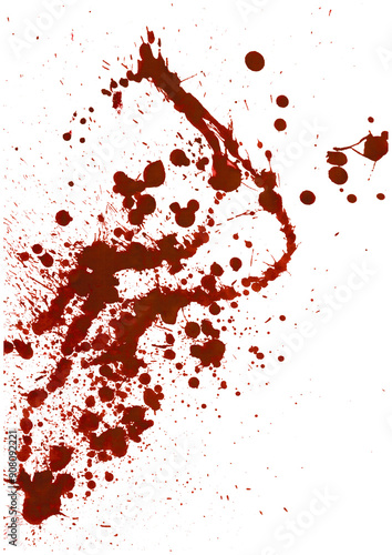Quadro su tela Blood