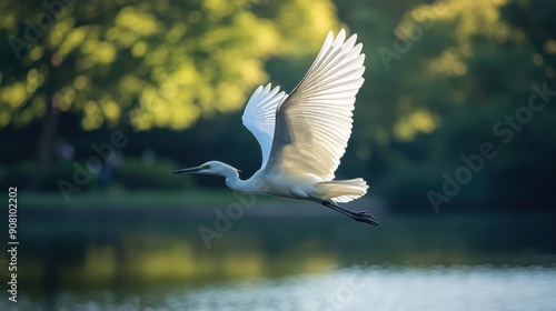 Large white bird flying gracefully over a serene body of water.