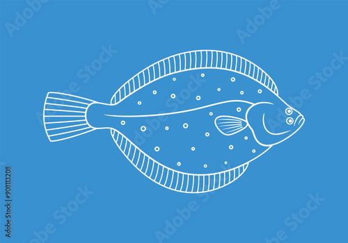 Olive flounder outline. Isolated flounder on white background