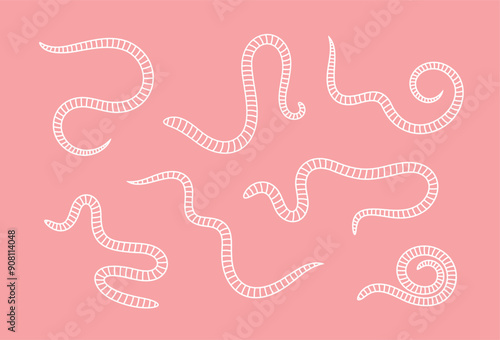 Earthworm outline. Isolated earthworm on white background