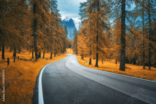 Road in orange forest in au...