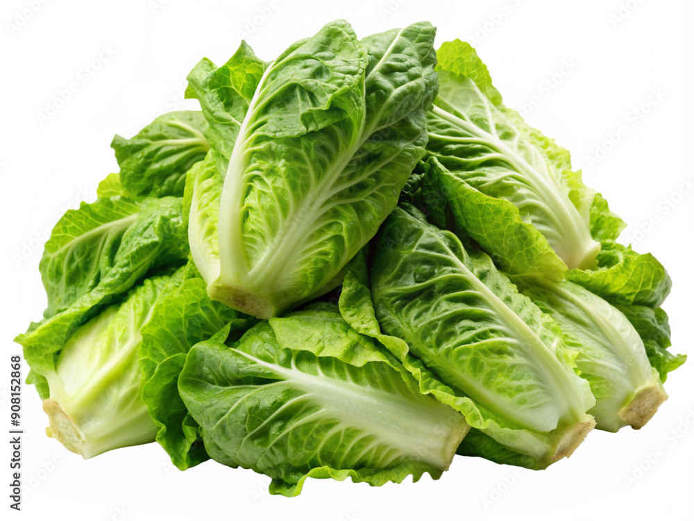 Core of romaine lettuces isolated on white background. Generative AI. Core of romaine lettuces isolated on white background. Generative AI.