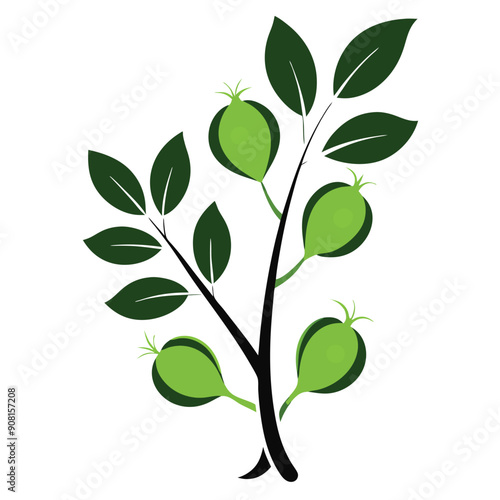 green chickpeas arranged on a twig with leaves, vector illustration 