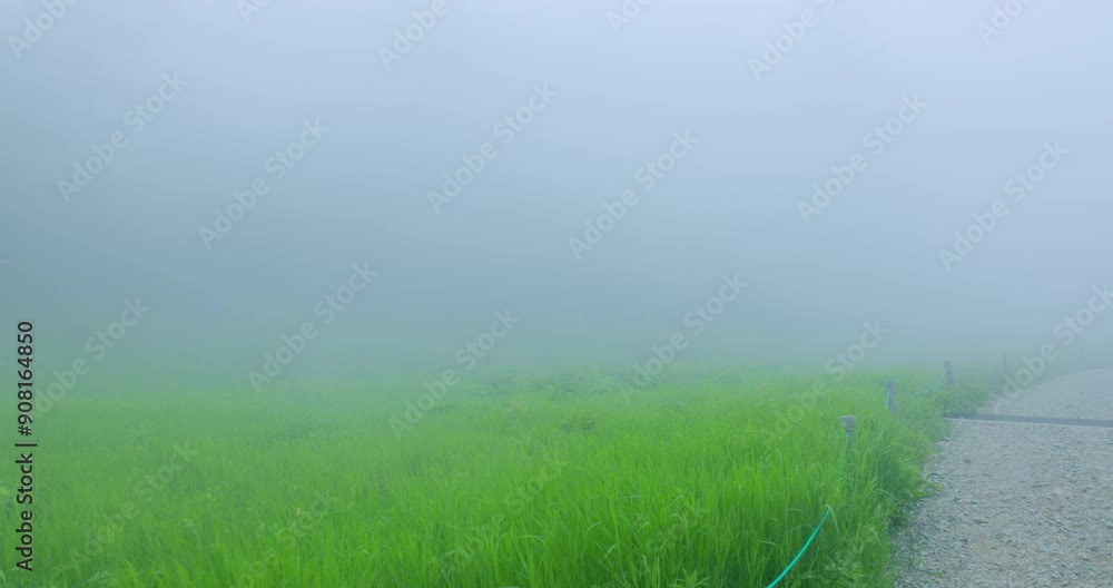 霧の中の長野県入笠山の景色