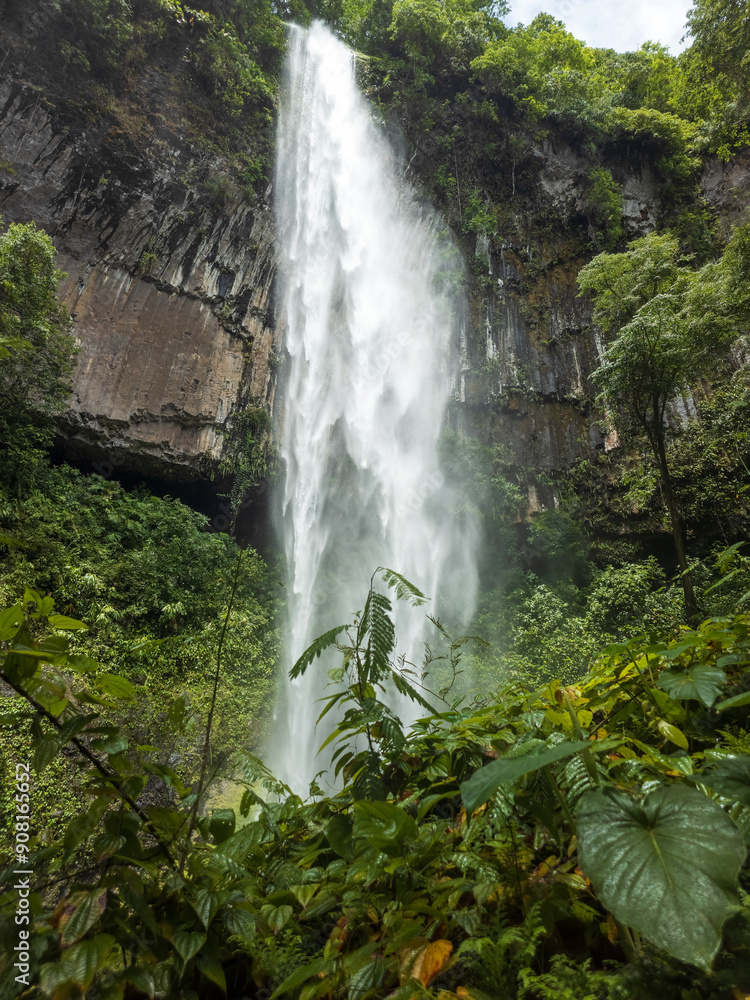 Fototapeta premium Cascada alta en Panamá 