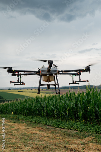 Agrodrone sprayer sprays sunflower fields, precision farming, the latest agriculturethe. Drone - new technology in farming.