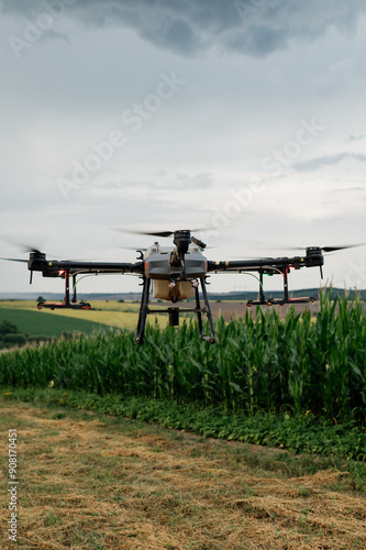 Agrodrone sprayer sprays sunflower fields, precision farming, the latest agriculturethe. Drone - new technology in farming.