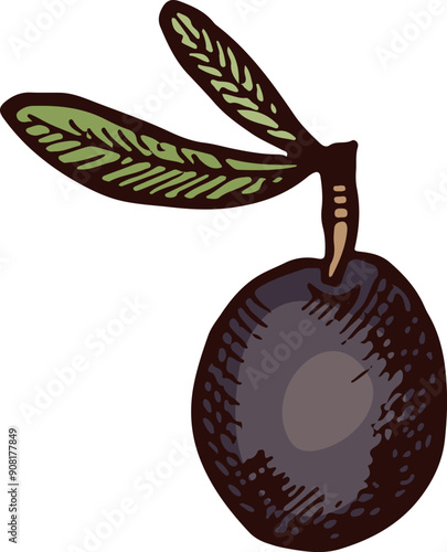 Black olive color illustration. Hand drawn sketch