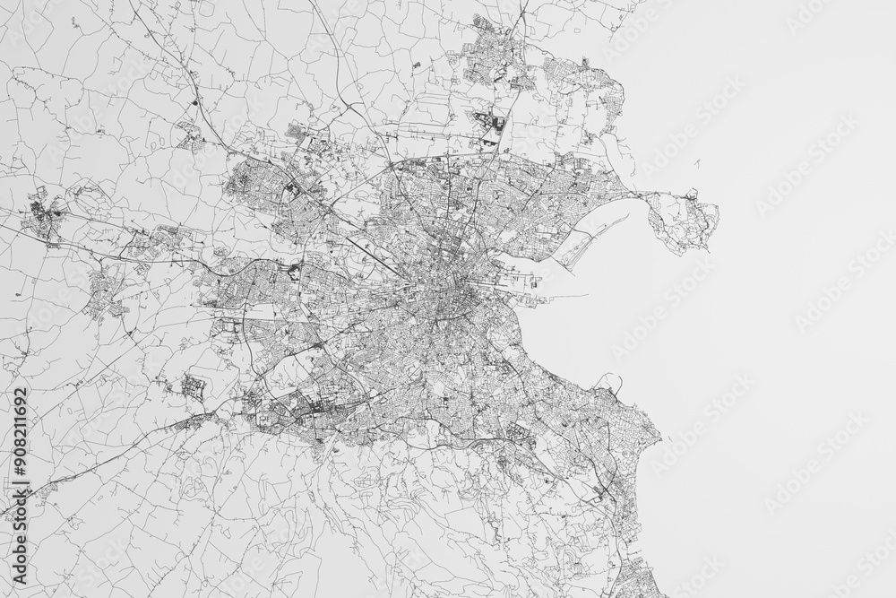 Fototapeta premium Map of the streets of Dublin (Ireland) on white background. 3d render, illustration