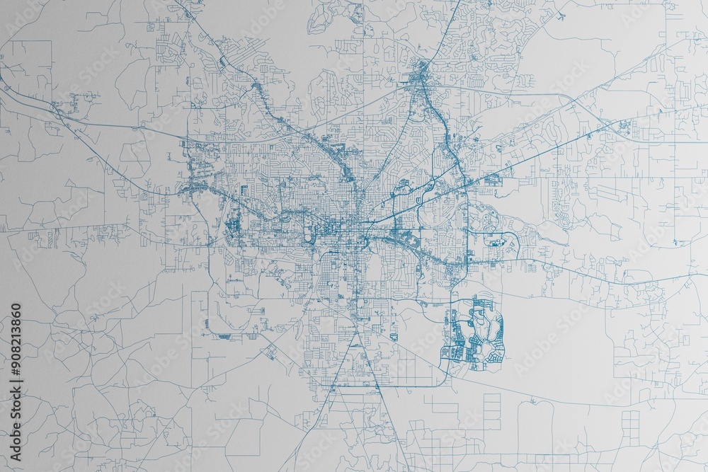Map of the streets of Tallahassee (Florida, USA) made with blue lines on white paper. 3d render, illustration Map of the streets of Tallahassee (Florida, USA) made with blue lines on white paper. 3d render, illustration