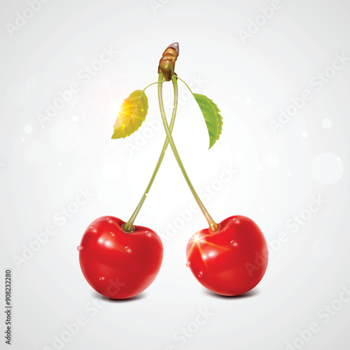 Illustration of red cherries water drops with a green leaf. a white background