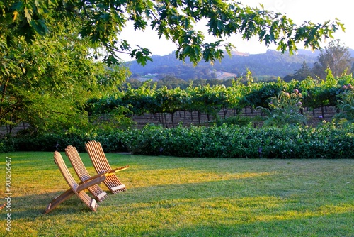 Adirondak chairs in afternoon light in a vineyard garden. 