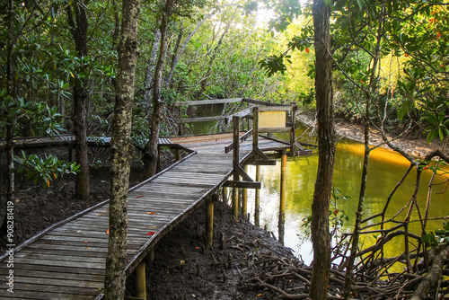 Jack Barnes Bicentennial Mangrove Boardwalk in a coastal area of the Coral Sea in Cairns, Northern Queensland, Australia photo