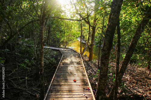 Jack Barnes Bicentennial Mangrove Boardwalk in a coastal area of the Coral Sea in Cairns, Northern Queensland, Australia photo