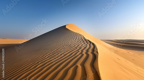 Arid Landscape Conservation - Fine Sand Textures of Desert Dunes and Theories on Desertification