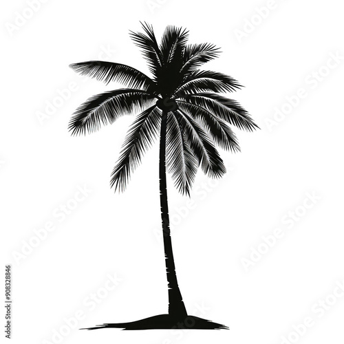 A palm tree is the main focus of the image photo