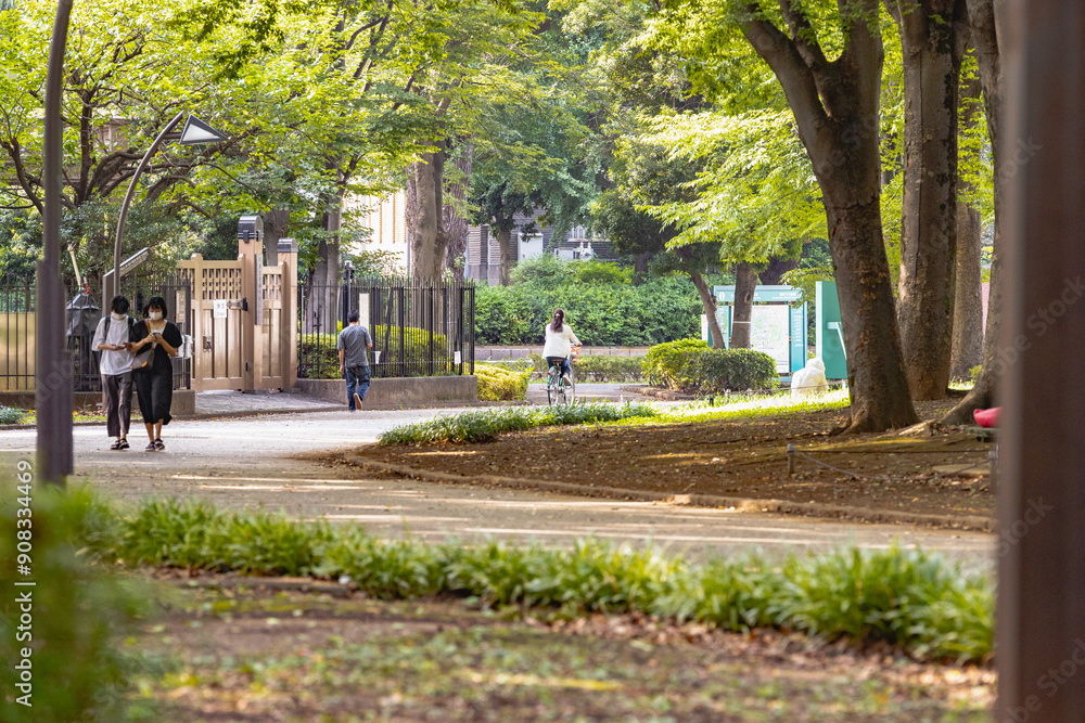 Fototapeta premium 上野公園