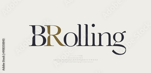 Beauty elegant font alphabet logo. Typography beautiful fashion luxury classic letters serif italic fonts decorative wedding vintage retro logos. vector illustration