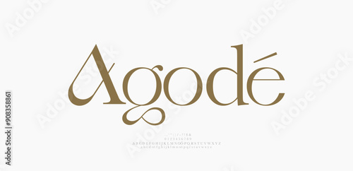 Beauty Luxury font alphabet logo. Typography beautiful fashion elegant classic letters serif italic fonts decorative wedding vintage retro logos. vector illustration