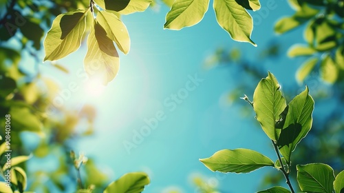 Tree branch with leaves in front of blue sunny sky Summer background with copy space : Generative AI