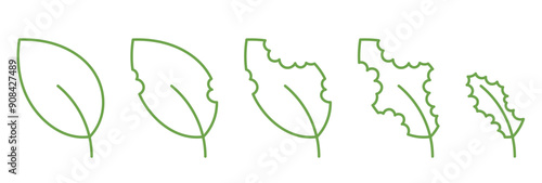 The process Biting Leaf pests. Insects plants eating bitten off. Minimalist Leaf Icons. Vector editable outline stroke.