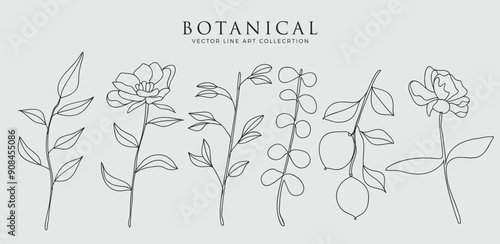  Hand drawn botanical art continuous line drawing of abstract flower, floral, rose, tropical leaves, spring and autumn leaf, bouquet of olives.