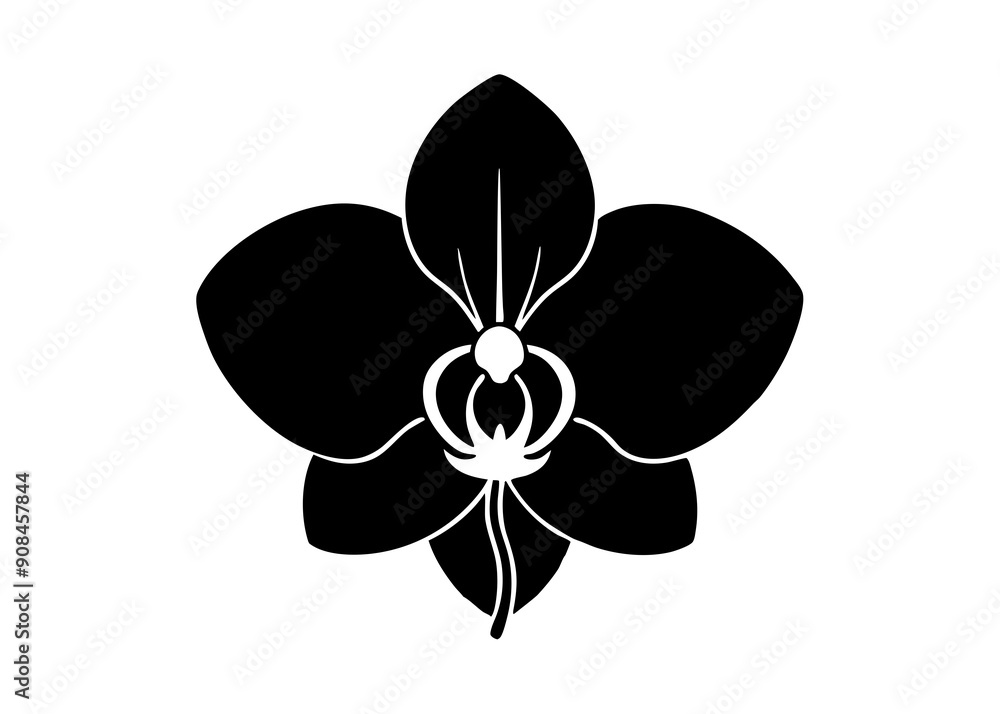 Elegant Orchid Silhouette Designs: Perfect for Floral Art and Decor, Floral Element. Elegant Orchid Silhouette Designs: Perfect for Floral Art and Decor, Floral Element.